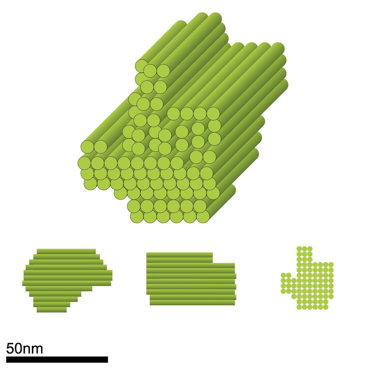 Asymmetric design (Pointer)