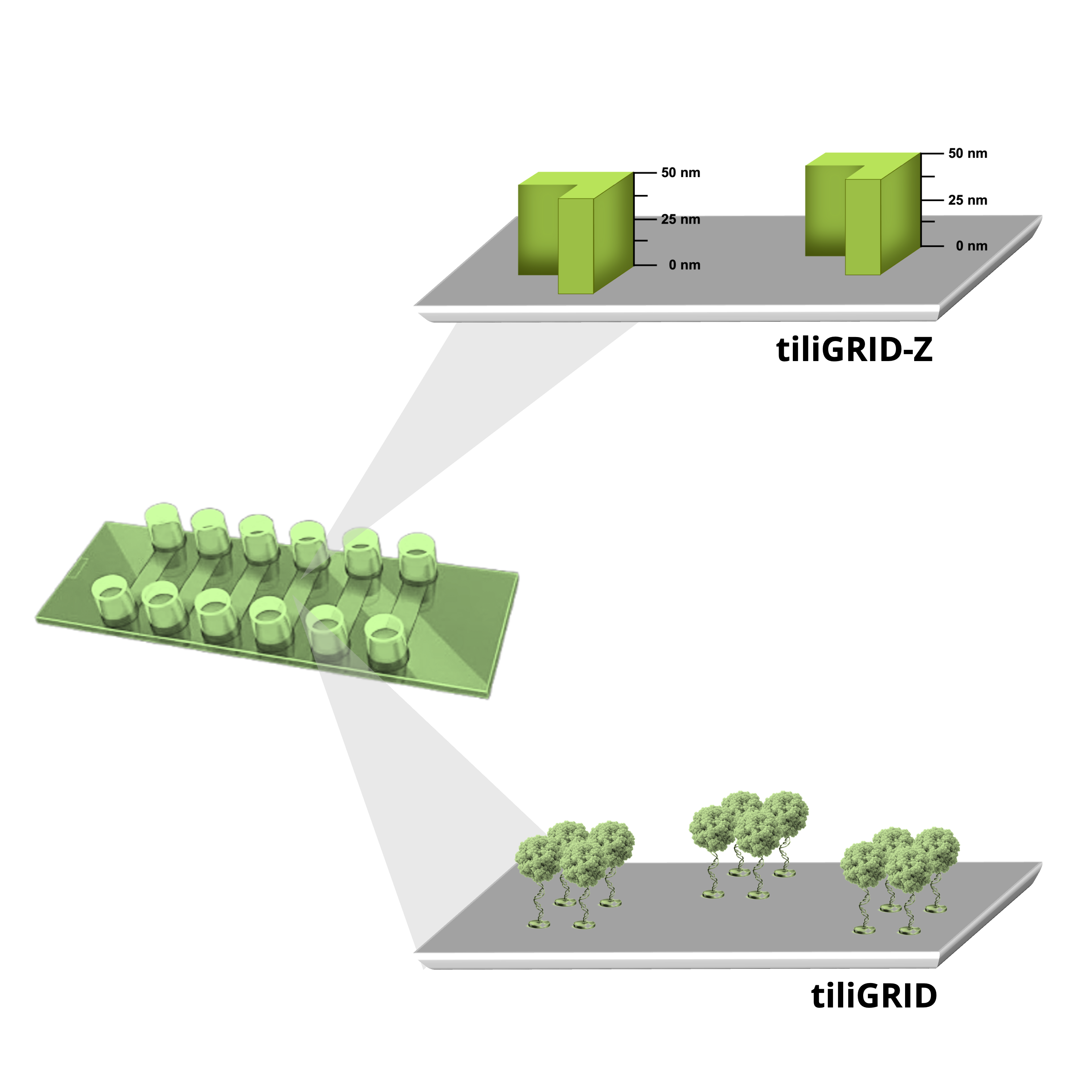 tiliGRID - microscopy slide – tilibit nanosystems