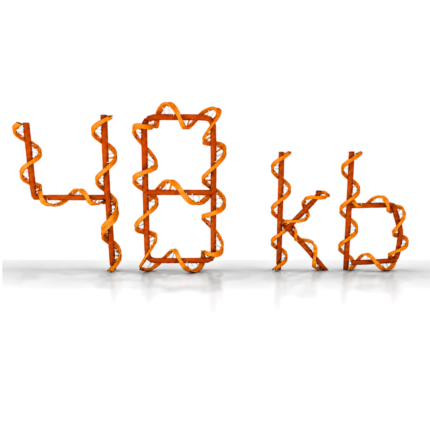 Scaffold ssDNA - 48kb