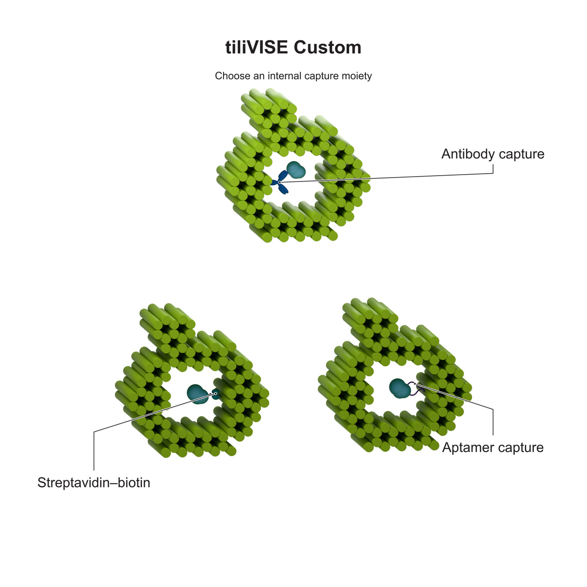 tiliVISE Custom: Choose an internal capture moiety. Explanatory illustration.