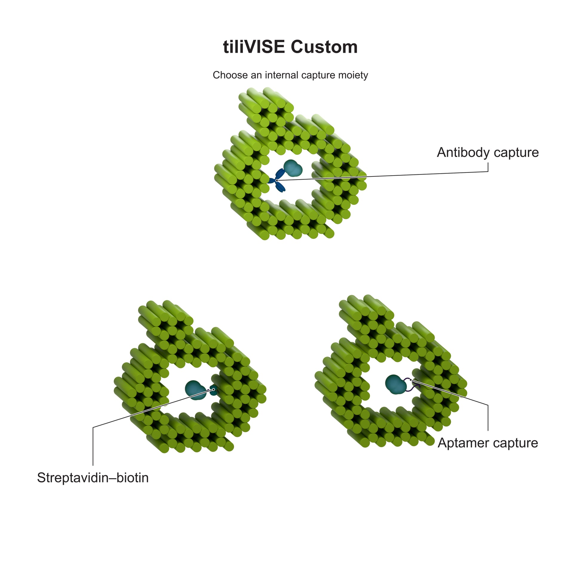 tiliVISE Custom: Choose an internal capture moiety. Explanatory illustration.