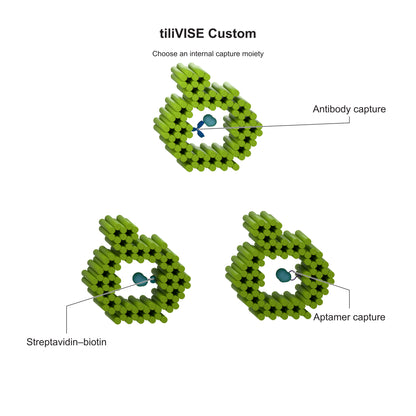 tiliVISE Custom: Choose an internal capture moiety. Explanatory illustration.