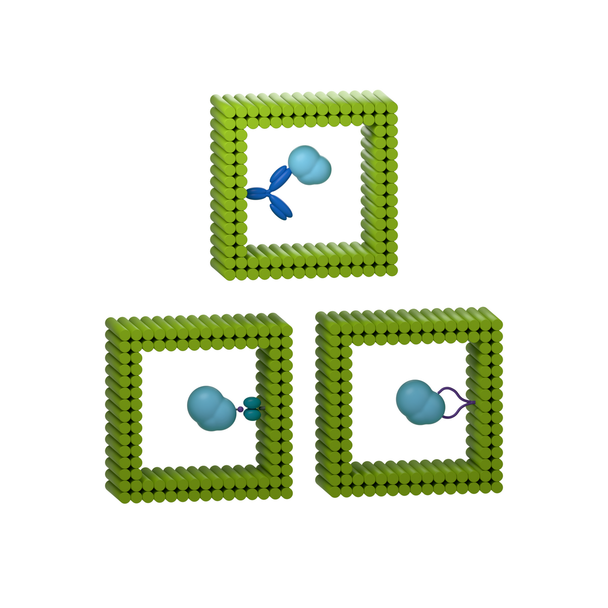 tiliVISE Custom: Choose an internal capture moiety. Conceptual product illustration.