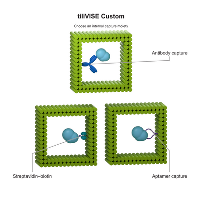 tiliVISE Custom: Choose an internal capture moiety. Explanatory illustration.