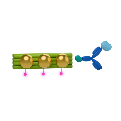 tiliPOINTER-3: AF647 · anti-rabbit. Conceptual product illustration.
