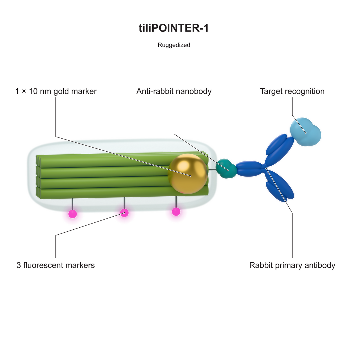 tiliPOINTER-1: Ruggedized. Explanatory illustration.