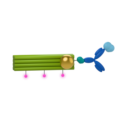 tiliPOINTER-1: AF647 · anti-rabbit. Conceptual product illustration.