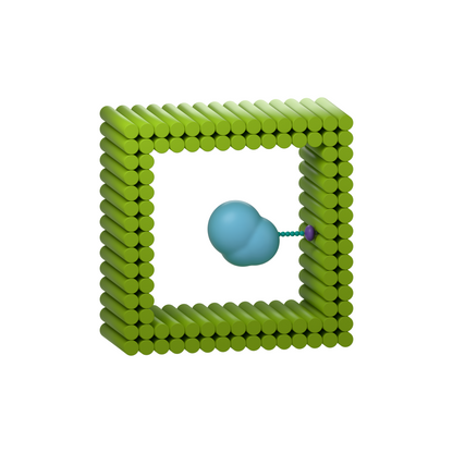 tiliVISE His-Tag: Capture and protect a protein in an open cavity. Conceptual product illustration.