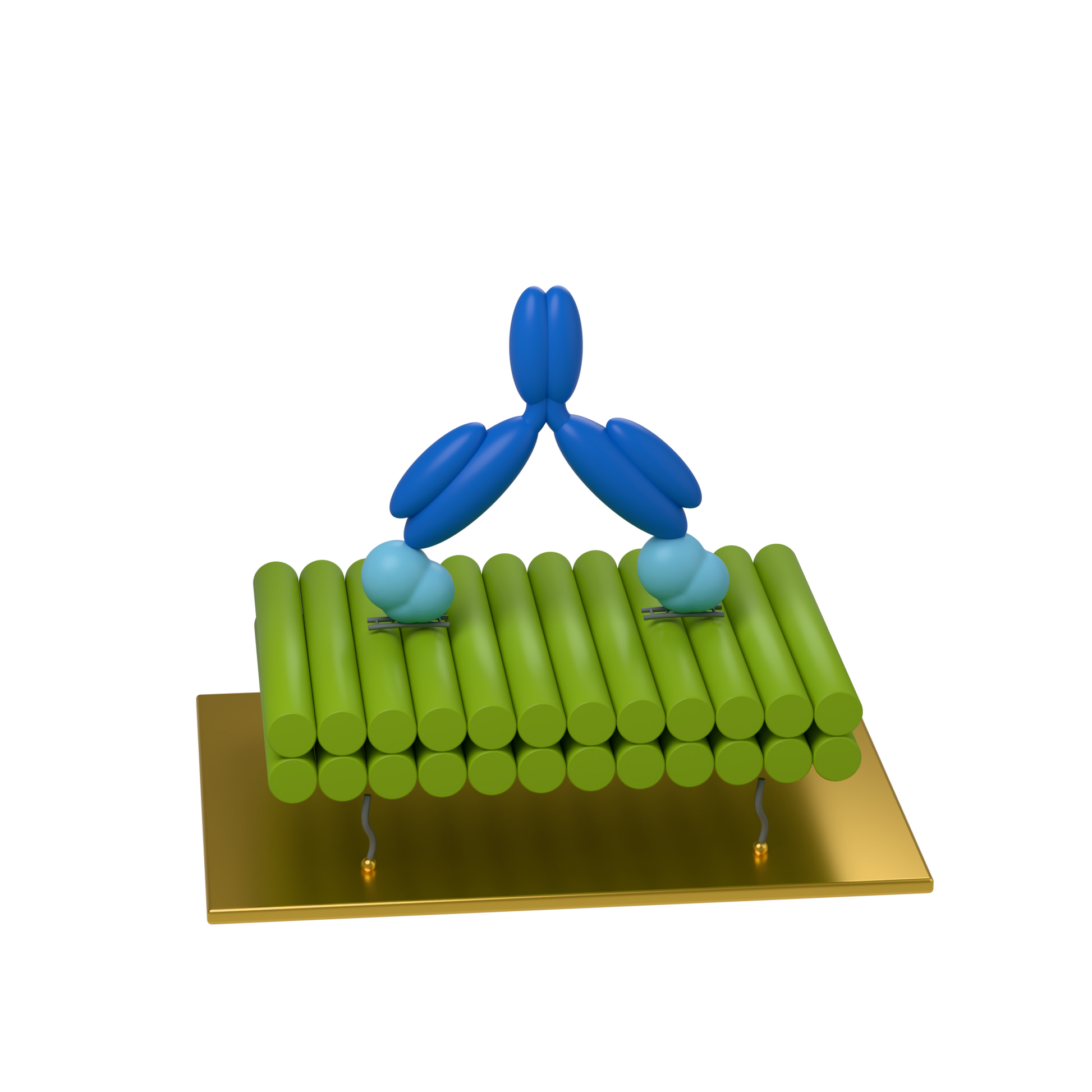 tiliDOCK BI Thiol: 2 target sites · 15 nm apart · Bivalent binding. Conceptual product illustration.