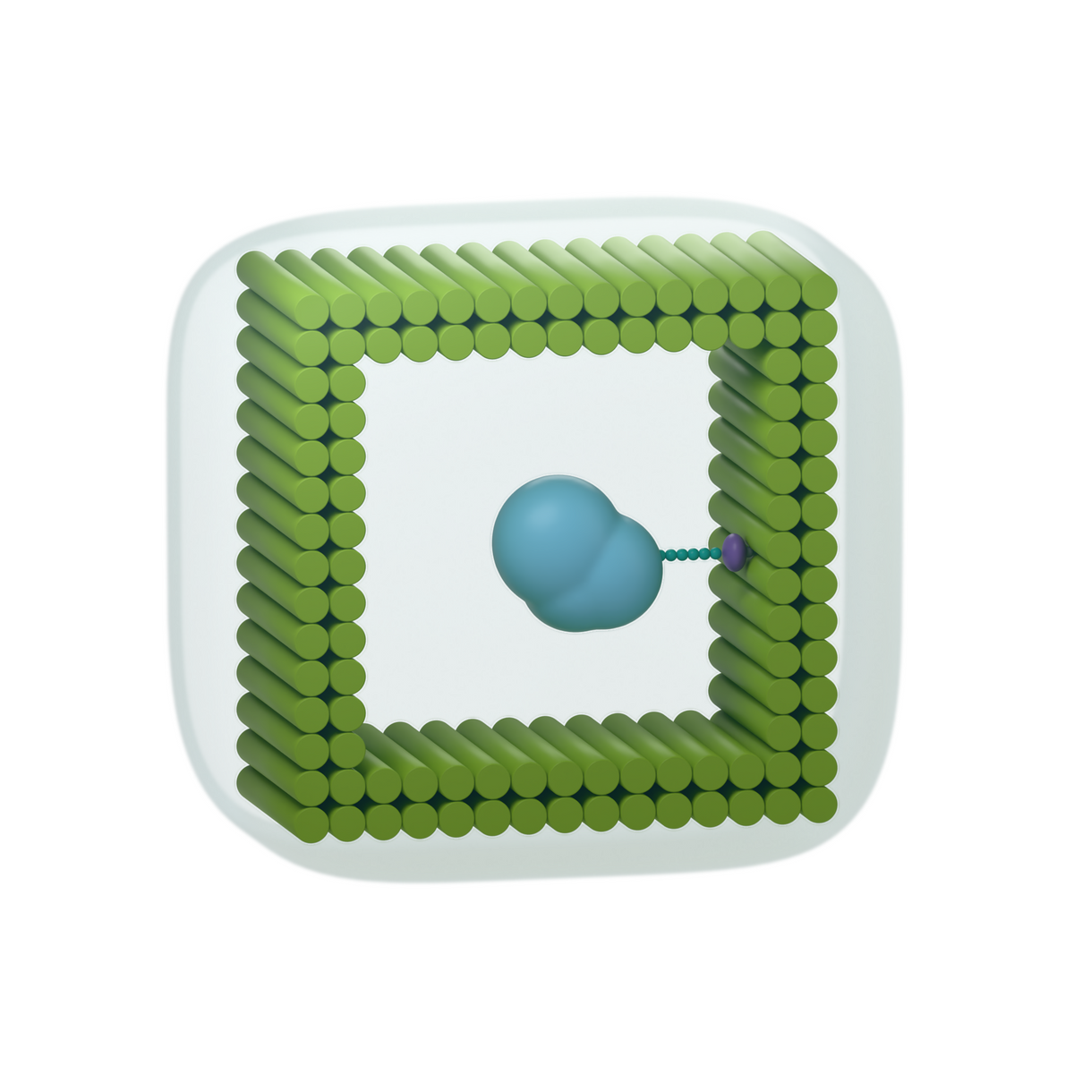 tiliVISE His-Tag Ruggedized: Capture and protect a protein in an open cavity. Conceptual product illustration.