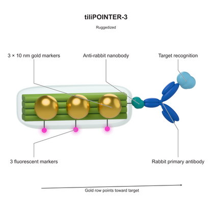 tiliPOINTER-3: Ruggedized. Explanatory illustration.
