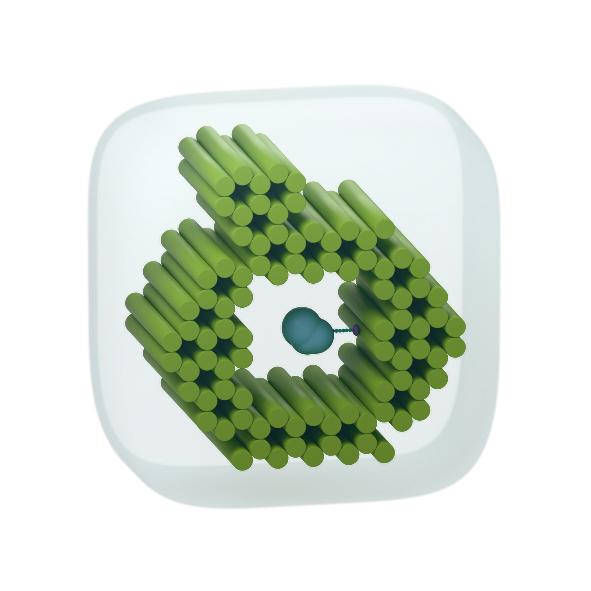 tiliVISE His-Tag Ruggedized: Capture and protect a protein in an open cavity. Conceptual product illustration.
