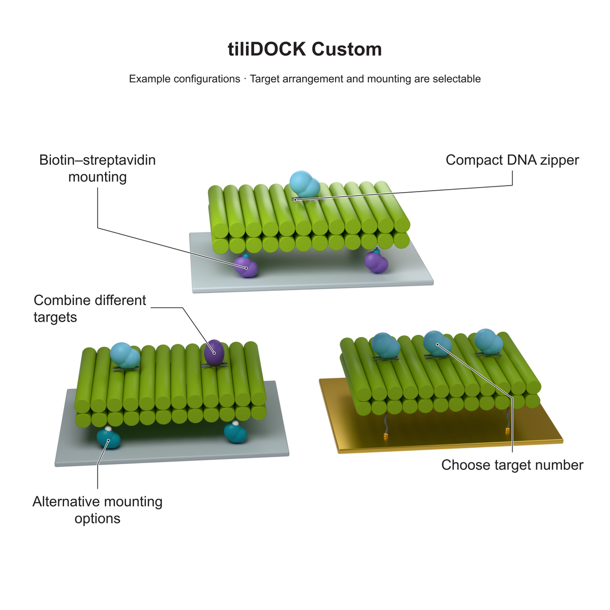 tiliDOCK Custom: Example configurations · Target arrangement and mounting are selectable. Explanatory illustration.