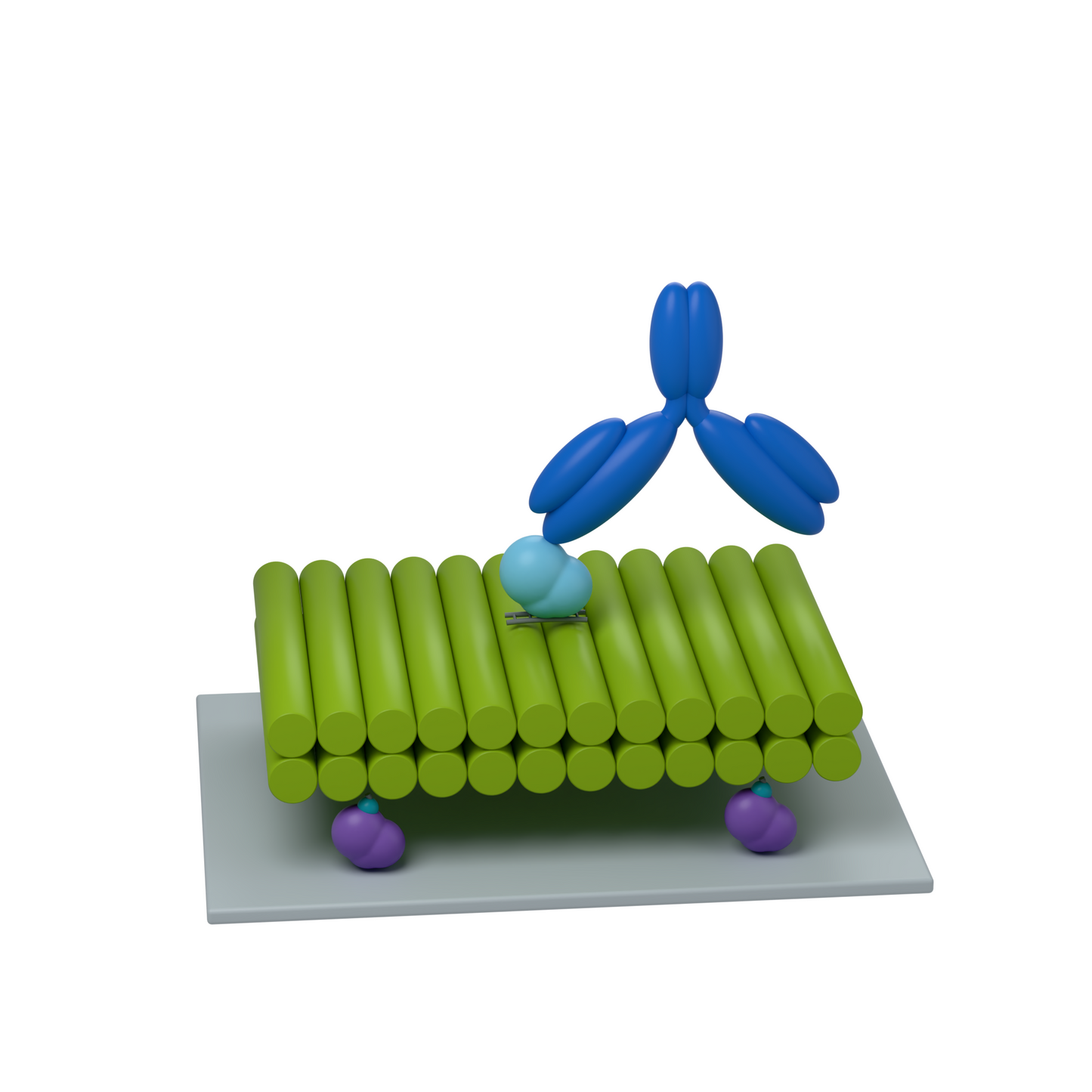 tiliDOCK MONO Biotin: 1 centered target site · Monovalent binding. Conceptual product illustration.