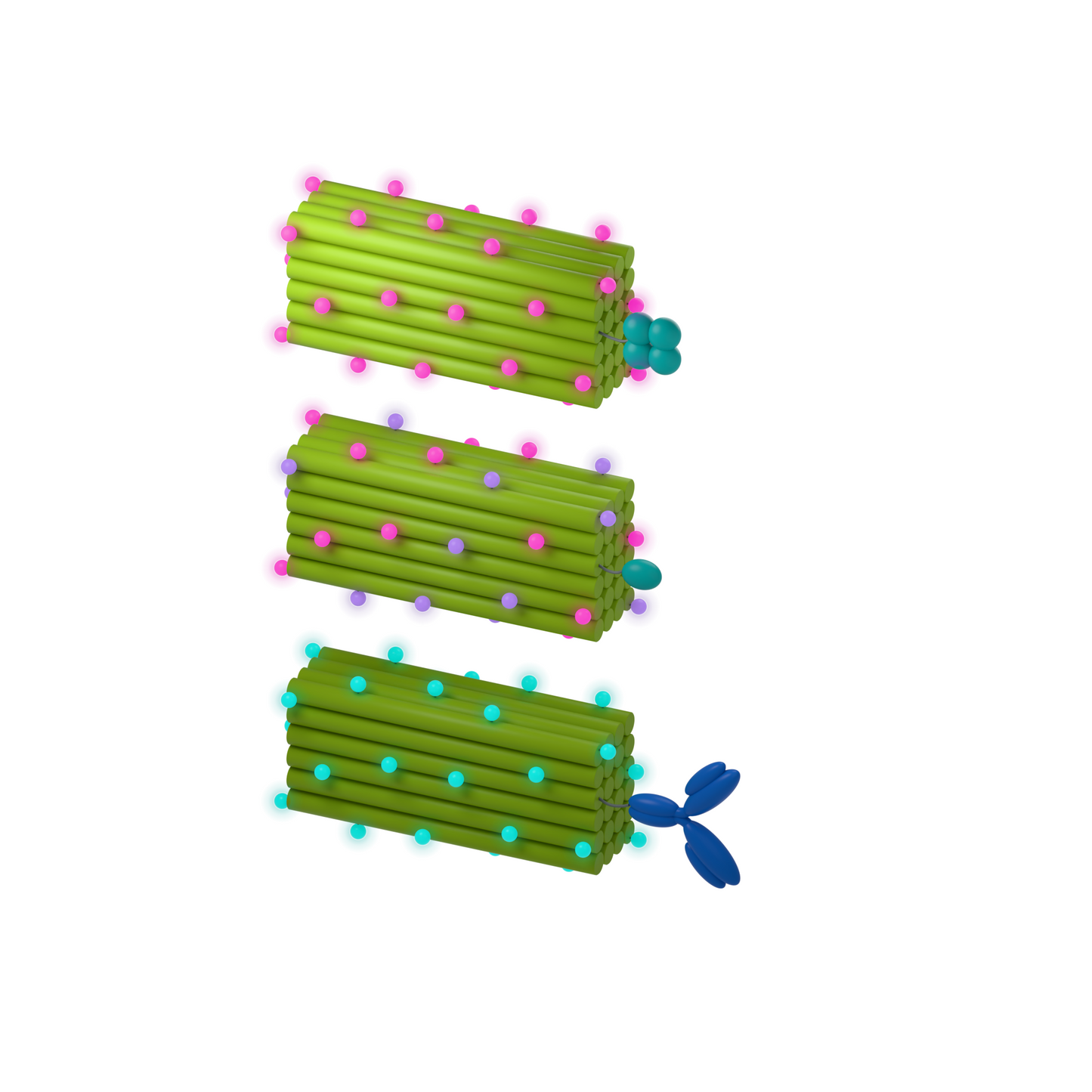 tiliGLOW Custom: Separate example configurations. Conceptual product illustration.