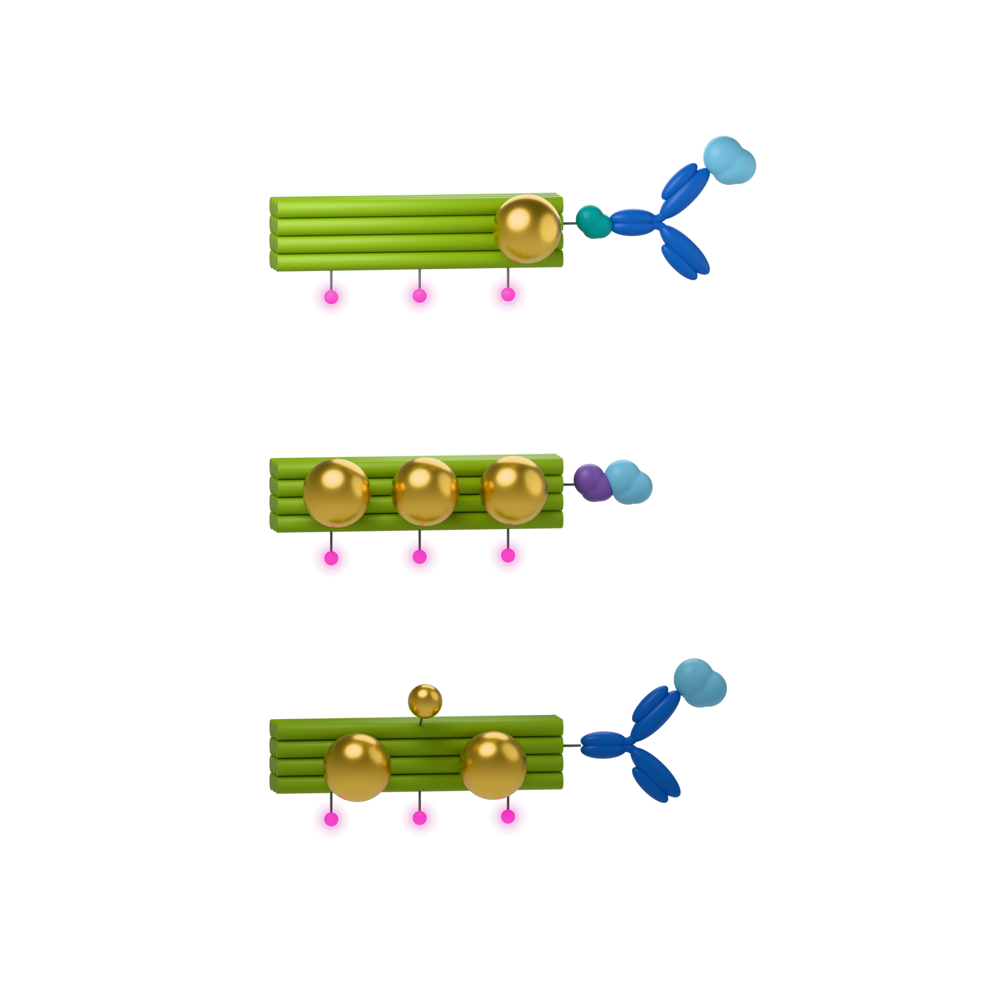 tiliPOINTER Custom: Choose gold size, arrangement and targeting moiety. Conceptual product illustration.
