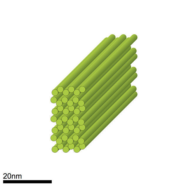 Cuboid