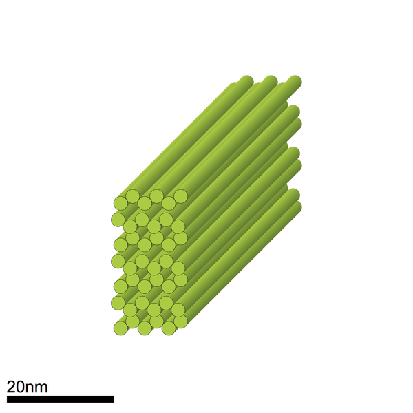 Cuboid - staple mixture