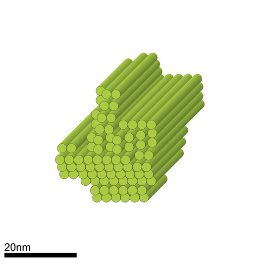 Asymmetric design (Pointer)