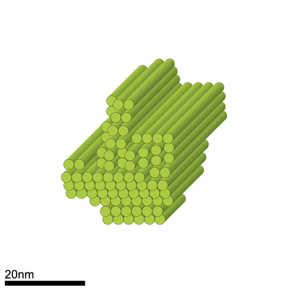 Asymmetric design - staple mixture