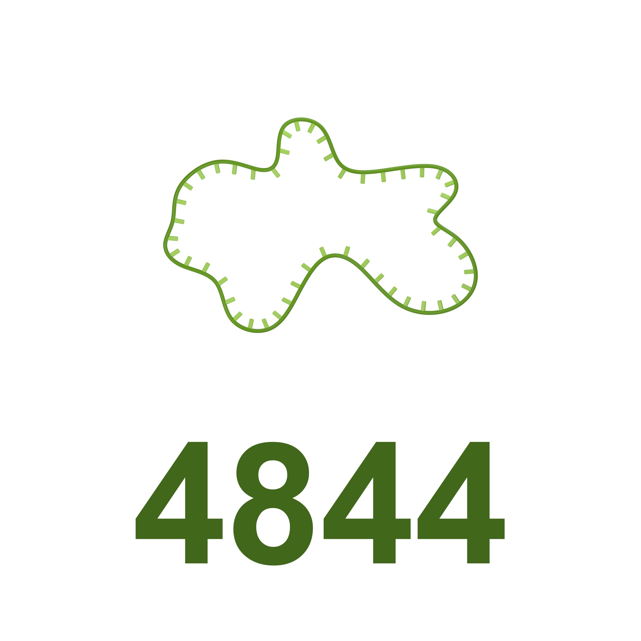 Scaffold ssDNA 4844 bases