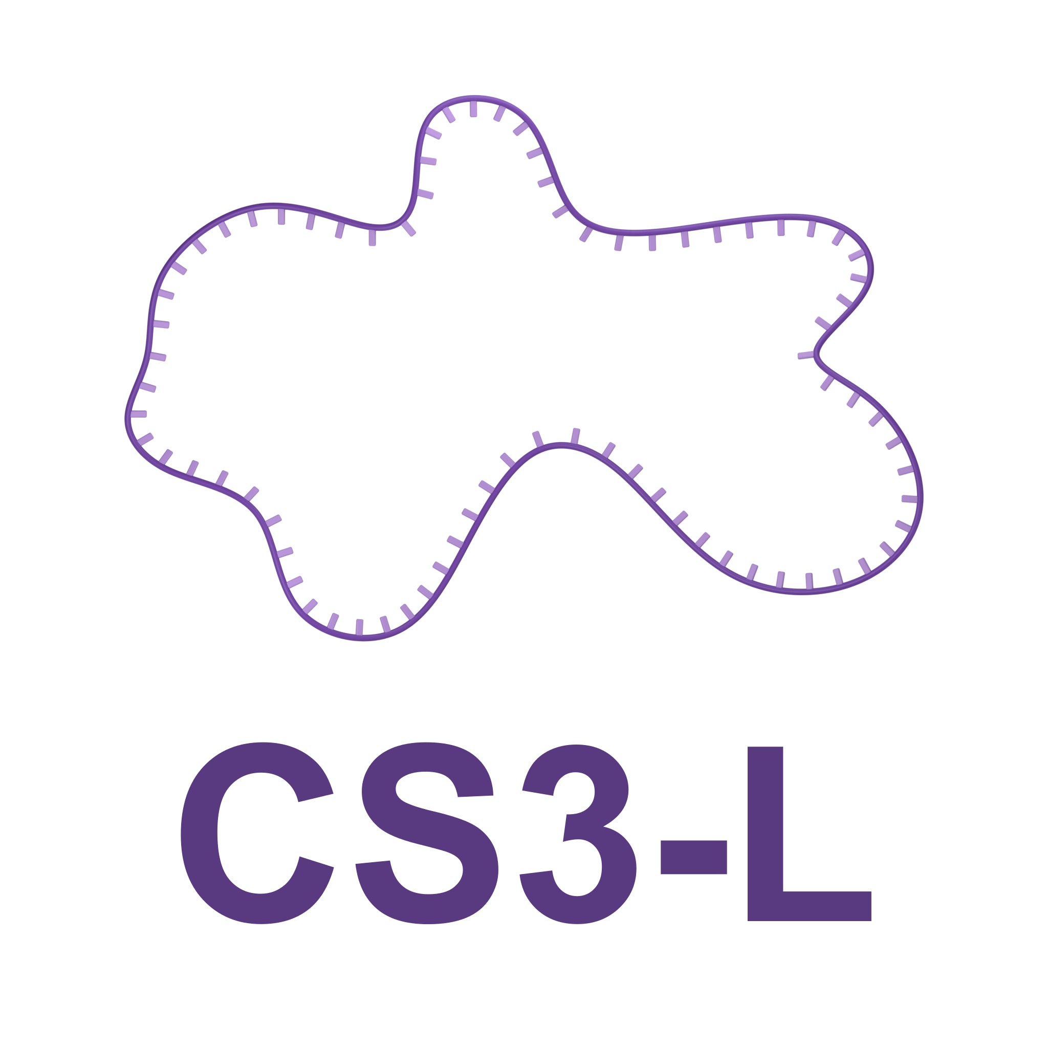 Scaffold ssDNA - CS3-L